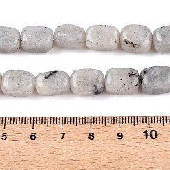 Natural Labradorite Beads Strands&nbsp;G-T138-85