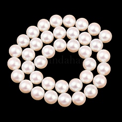 Electroplated Shell Pearl Beads Strands&nbsp;BSHE-C011-01C