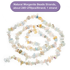 1 Strand Natural Morganite Beads Strands&nbsp;G-OC0004-51