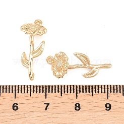 Brass Pendants&nbsp;KK-A288-01G-10