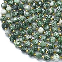 Natural Green Spot Jasper Beads Strands&nbsp;G-K389-E64-01
