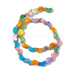Natural Freshwater Shell Beads Strands&nbsp;SHEL-F003-04