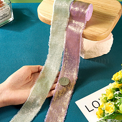 2 Rolls 2 Colors Polyester Frayed Ribbon&nbsp;OCOR-TA0002-05