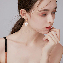 60Pcs 2 Colors Brass Earring Hooks for Earring Designs&nbsp;KK-SP0002-49