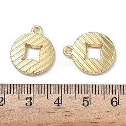 Alloy Pendants&nbsp;FIND-L026-02G