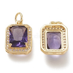 Brass Glass Charms&nbsp;X-ZIRC-F116-09B-G