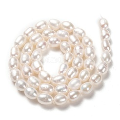 Natural Cultured Freshwater Pearl Beads Strands&nbsp;PEAR-L033-70-01