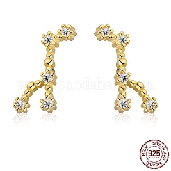 Cubic Zirconia Constellation Stud Earrings&nbsp;EJEW-P231-90G-07