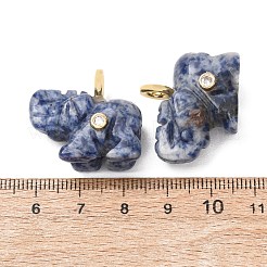 Natural Blue Spot Jasper Carved Pendants&nbsp;G-H357-01G-10