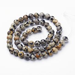 Natural Dalmatian Jasper Beads Strands&nbsp;X-GSR6mmC004