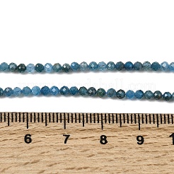 Natural Apatite Beads Strands&nbsp;G-K366-C07-2mm