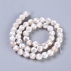 Tibetan Style Turtle Back Pattern dZi Beads Strands&nbsp;X-G-G036-8mm-6