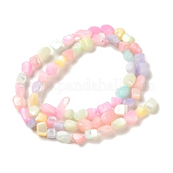Rainbow Color Dyed Natural Freshwater Shell Beads Strands&nbsp;SHEL-G018-02E