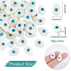 Natural Freshwater Shell Beads&nbsp;SHEL-NB0001-31