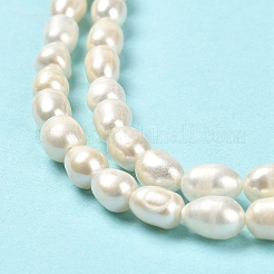 Natural Cultured Freshwater Pearl Beads Strands&nbsp;PEAR-E016-169
