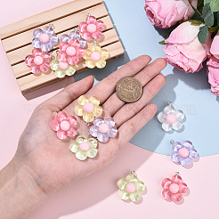 15Pcs Translucent Resin Pendants&nbsp;RESI-YW0004-55