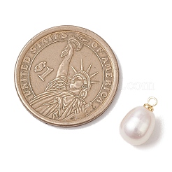 Natural Freshwater Pearl Rice Charms&nbsp;PALLOY-JF04858-02
