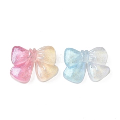 Transparent Resin Cabochons&nbsp;RESI-F056-02