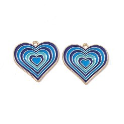 Alloy Pendants&nbsp;LS-ENAM-H039-11G-C