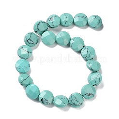 Synthetic Turquoise Beads Strands&nbsp;G-K357-B07-01