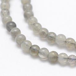 Natural Labradorite Beads Strands&nbsp;G-P322-31-4mm