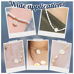 20Pcs Natural Freshwater Shell Beads&nbsp;SHEL-NB0001-65B