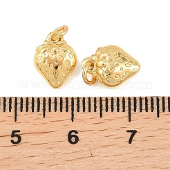 Brass Charms&nbsp;KK-F927-04G