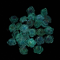 Luminous Transparent Resin Cabochons&nbsp;RESI-D013-05B