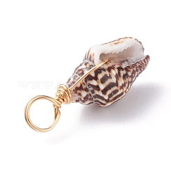 Natural Shell Pendants&nbsp;PALLOY-JF01164-02