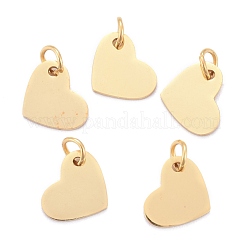 201 Stainless Steel Stamping Blank Tag Charms&nbsp;STAS-S105-T618-2