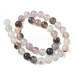 Natural Dendritic Agate Beads Strands&nbsp;G-C011-10mm-01