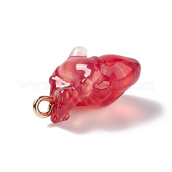 Transparent Resin Pendants&nbsp;RESI-E028-01G-03