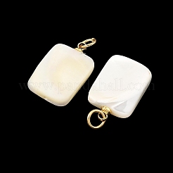 Natural Trochid Shell/Trochus Shell Pendans&nbsp;PALLOY-JF05925