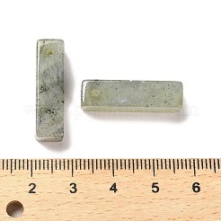 Natural Labradorite Pendants&nbsp;G-L593-01C