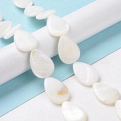 Natural Freshwater Shell Beads Strands&nbsp;X-SHEL-H001-12