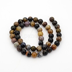 Natural Petrified Wood Round Bead Strands&nbsp;G-P070-69-4mm