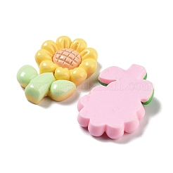 Opaque Resin Cabochons&nbsp;RESI-G084-14