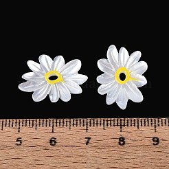 Natural White Shell Pendants&nbsp;SHEL-T020-66