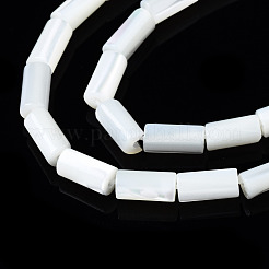 Natural Trochid Shell/Trochus Shell Beads Strands&nbsp;SSHEL-S266-020A-02