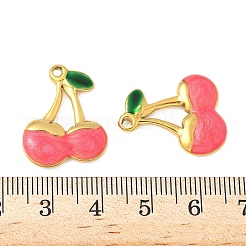 304 Stainless Steel Enamel Pendants&nbsp;STAS-V015-48G-B
