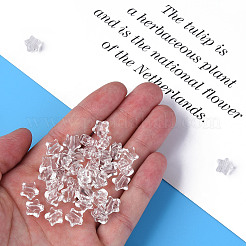 Transparent Acrylic Beads&nbsp;MACR-S373-45-B
