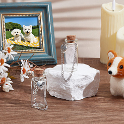 2Pcs 2 Styles Glass Tube Wishing Bottle&nbsp;AJEW-PH01666
