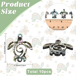 10Pcs Natural Paua Shell Connector Charms&nbsp;SHEL-YW0001-16