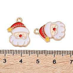 Alloy Enamel Pendants&nbsp;ENAM-I061-01KCG-24