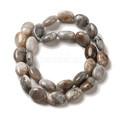 Natural Crazy Lace Agate Beads Strands&nbsp;G-G102-B01-01