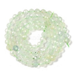 Natural Prehnite Beads Strands&nbsp;LS-G-G139-A05-03