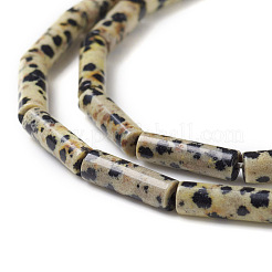 Natural Dalmatian Jasper Beads Strands&nbsp;X-G-F247-21