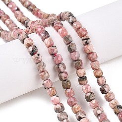 Natural Rhodonite Beads Strands&nbsp;G-N342-132