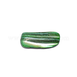 Natural Shell Beads&nbsp;BSHE-WH0001-06
