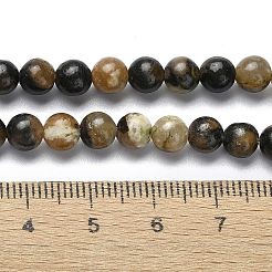 Natural Chiastolite Beads Strands&nbsp;G-G103-A01-01